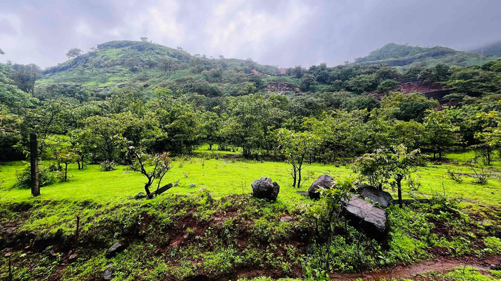 Mulshi Valley & Rolling Mountains